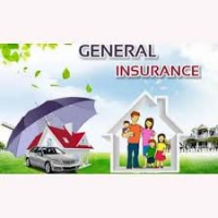 ⁠General Insurance